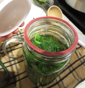 canning spinach